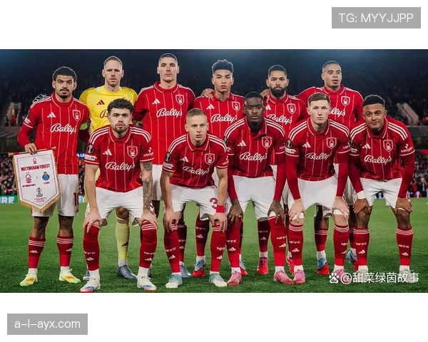 英超赛季回顾：实力与激情共舞，冠军征程闪耀绿茵