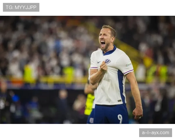 哈里·凯恩沙特冠军荣誉 哈里·凯恩沙特冠军荣誉